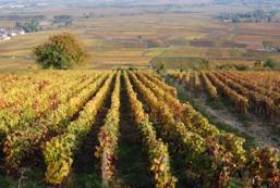 Description&nbsp;: Description&nbsp;: Description&nbsp;: Description&nbsp;: Description&nbsp;: Description&nbsp;: Description&nbsp;: Description&nbsp;: Description&nbsp;: Description&nbsp;: Description&nbsp;: Description&nbsp;: Description&nbsp;: Description&nbsp;: Description&nbsp;: Description&nbsp;: Description&nbsp;: Description&nbsp;: Description&nbsp;: Description&nbsp;: DSC_0478